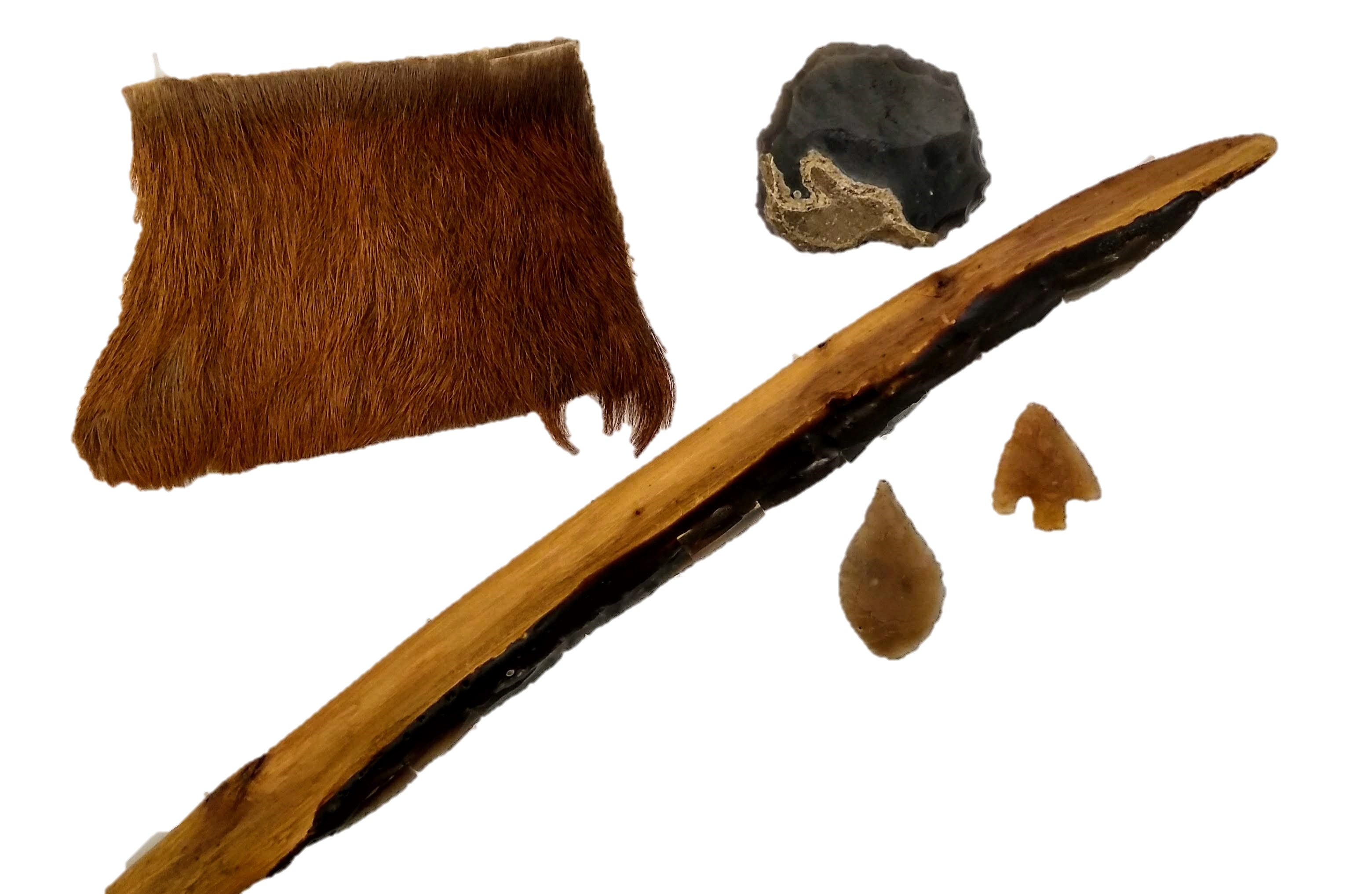 Fantastic Flint transparent (c) Archaeology Scotland