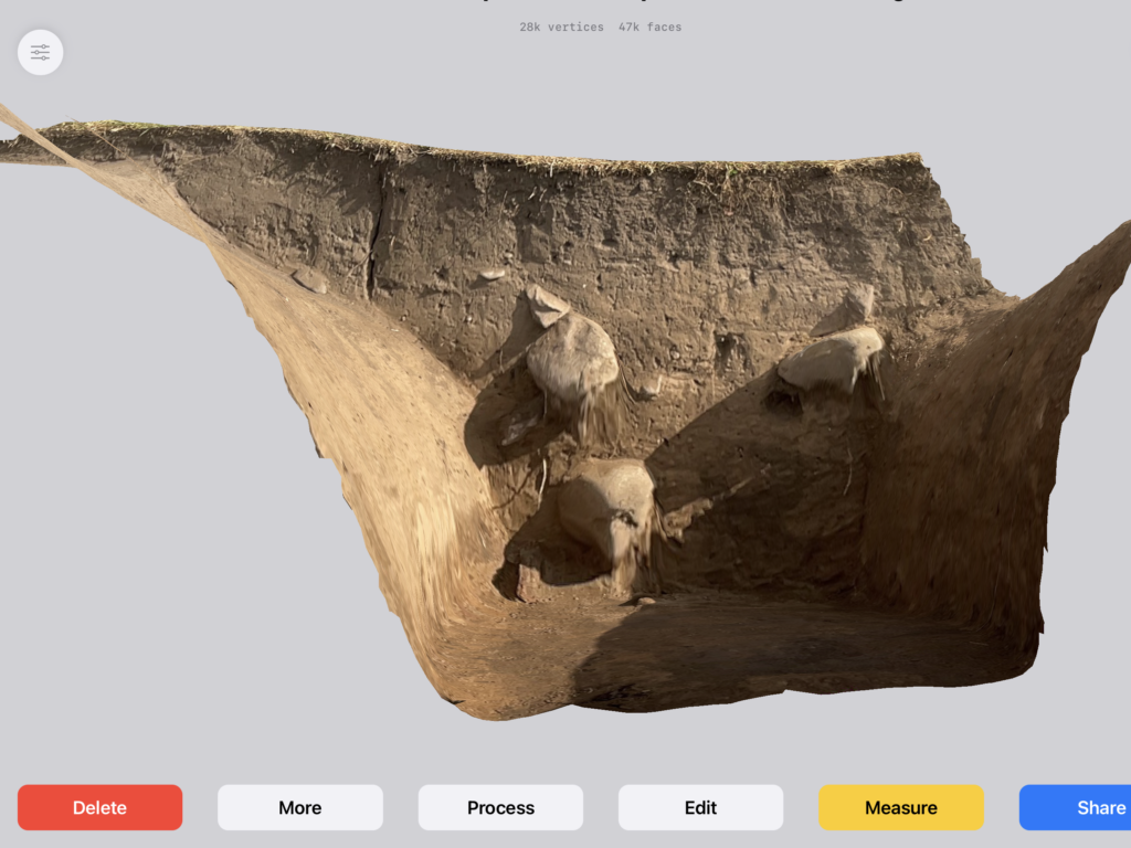 3D model