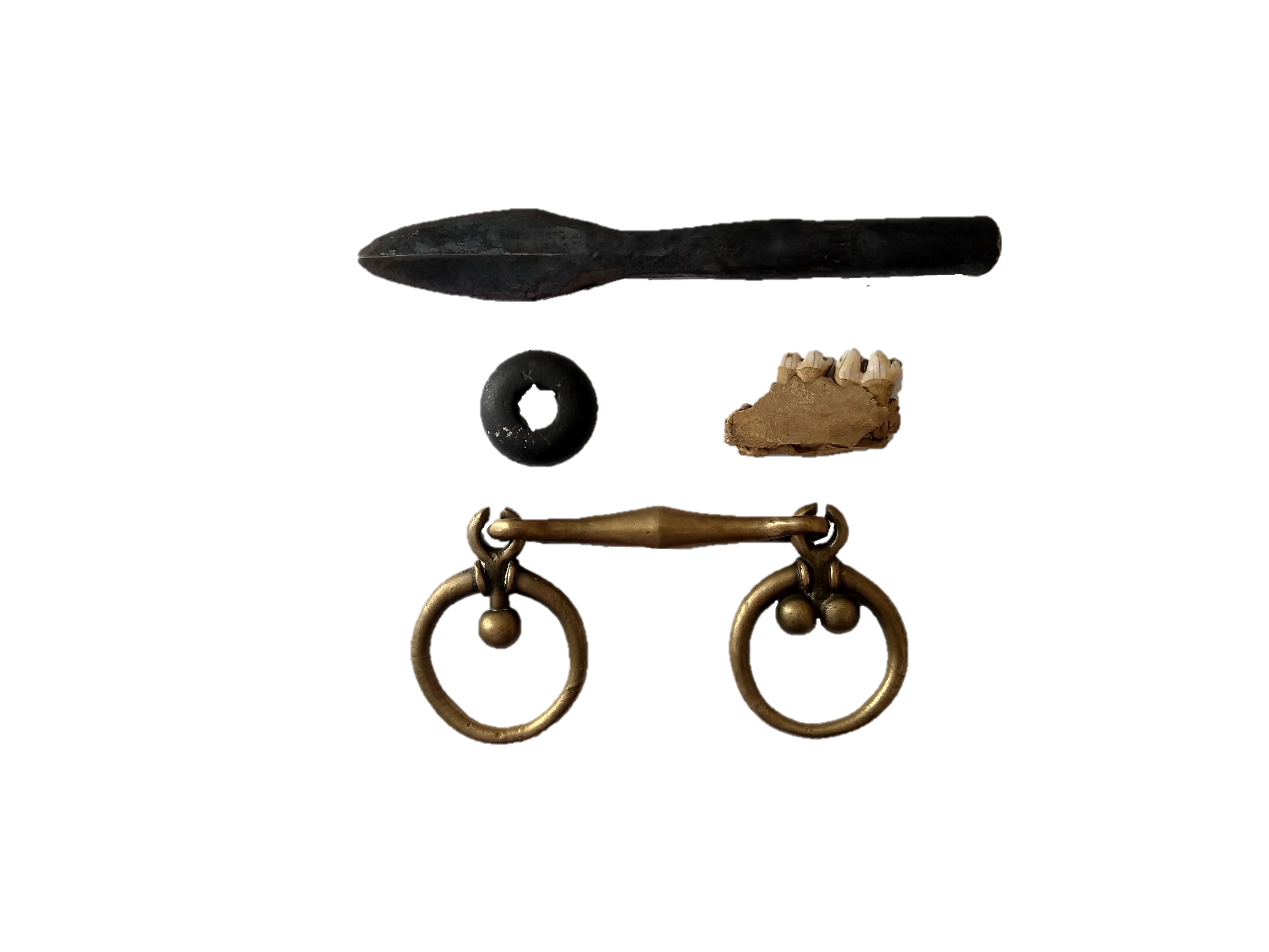 Iron Age Scotland Artefact Investigation Kit