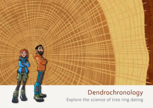 Dendrochronology: Explore the science of tree ring dating