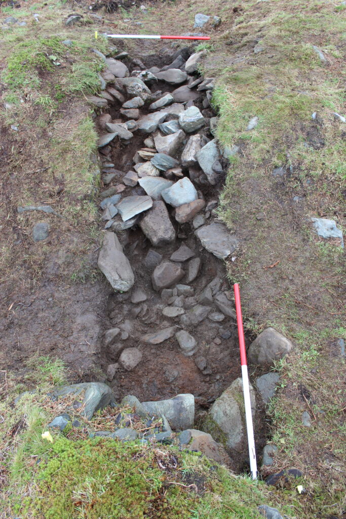 Trench 2 - facing north