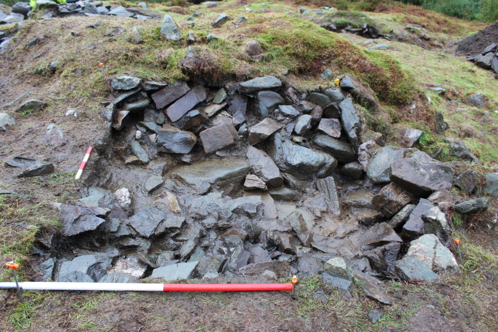 Trench 2 - facing west