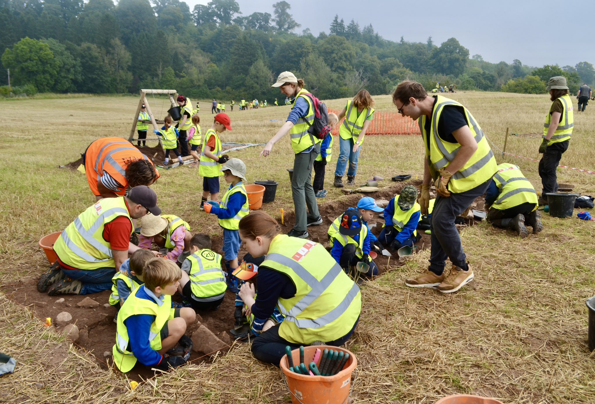 Join Our Board: Help Shape the Future of Archaeology in Scotland