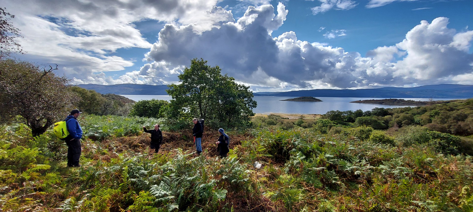 Landscape in Focus – Glenan Wood